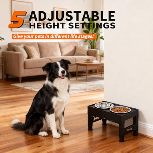 Elevated Dog Bowls with 2 Stainless Steel Bowls (For Medium Large Dogs / Black)