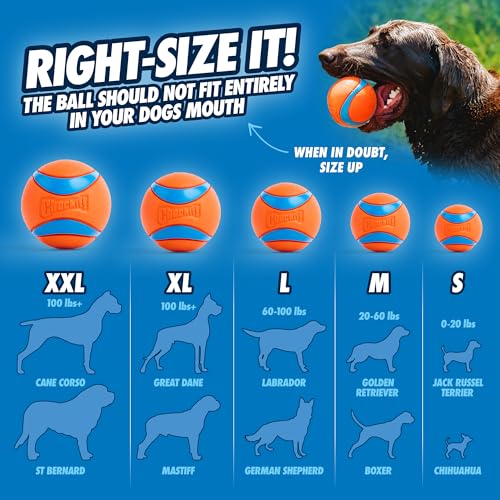 Dog Ball Launcher 12M Sport (Sport / 12in)