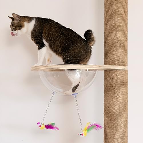 Floor to Ceiling Cat Tree Height (5-tier cat tree)