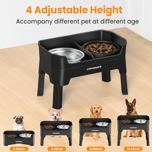 Mess Proof Elevated Dog Bowls Double Deck Slow Feeder (Jet Black / Large)
