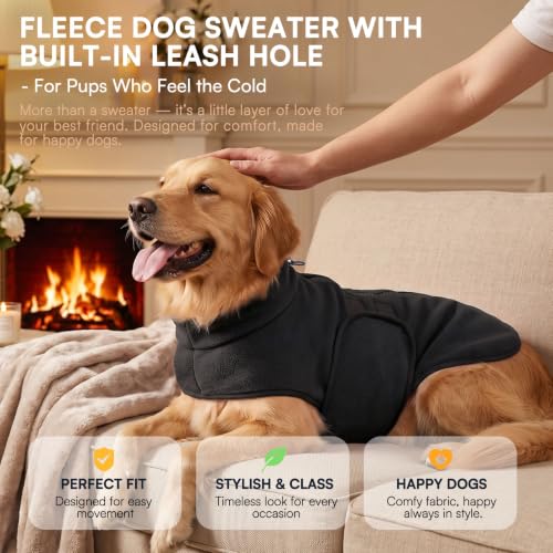 Small Dog Sweater (Black / Small)