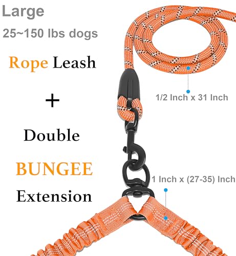 Double Dog Leash (Orange / Large)