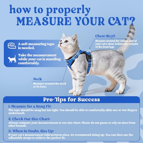 Cat Harness and Leash Set (S / Navy Blue)