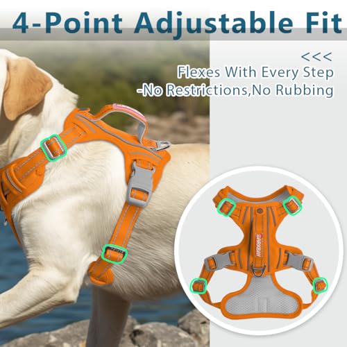 No Pull Dog Harness for Medium Sized Dogs (Medium(Chest:22.5-28") / Pumpkin-Oxford)