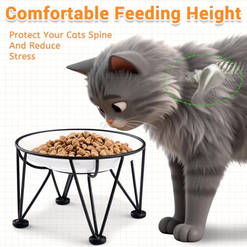 Elevated Ceramic Cat Bowls (anti-slip raised dish,2 pack / fishbone+cat paw)