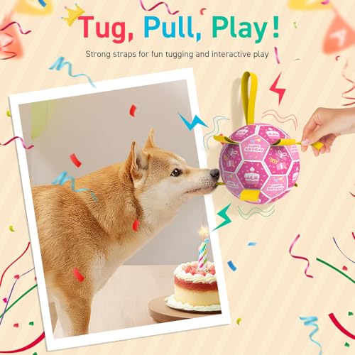 Dog Birthday Toys (Birthday / 8 Inch)