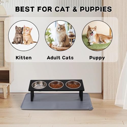 Upgraded Elevated Cat Bowls with Food Mat