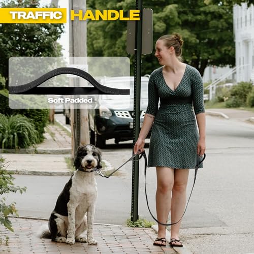 10 FT Heavy Duty Dog Leash (10 Feet (Pack of 1) / Black)