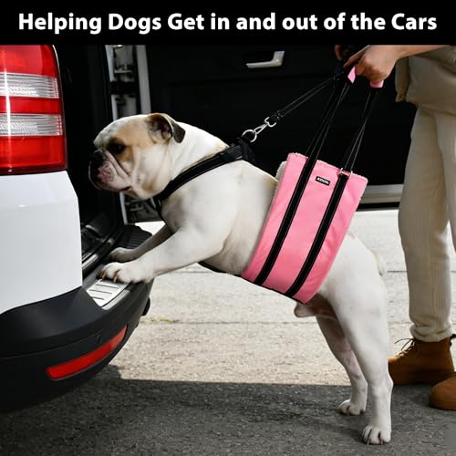 Dog Lift Harness for Senior (Pink / M)