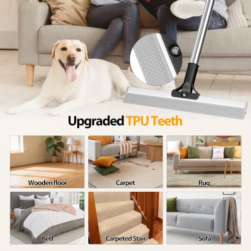 Carpet Rake for Pet Hair Removal Tool (Black)