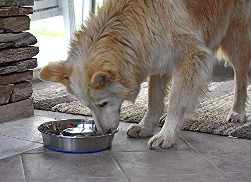 OurPet's DuraPet Slow Feed Stainless Steel Dog Bowl (Large (6 Cups))