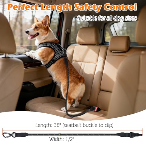 2 Packs Dog Seat Belt for Car (Black, Black / 2 Packs)