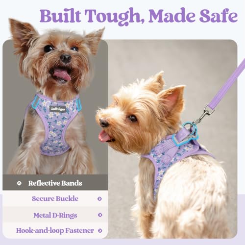 Dog Harness Small Sized and Leash Set (Lavender Floral / Xs (chest: 13.3 - 15.5"))