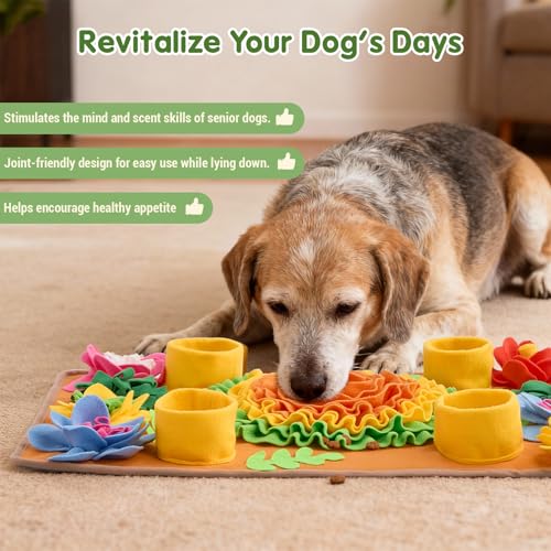 Snuffle Mat for Dogs