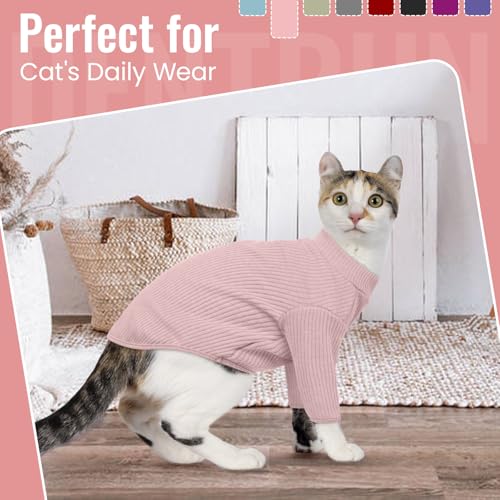 Sphynx Hairless Cats Shirt Pullover Kitten T (X-Small / Pink)