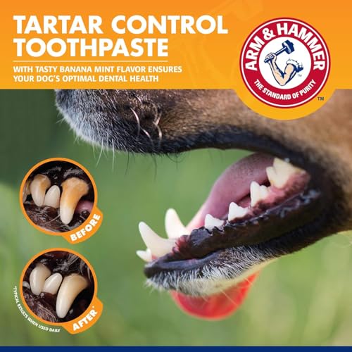 Tartar Control Dog Dental Kit (2.5 Ounce (Pack of 2))