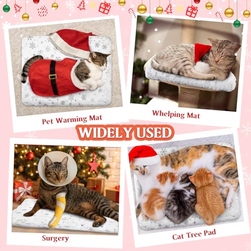 2 Pack Christmas Self Warming Cat Mat Snowflake Thermal Pet Blanket (White)