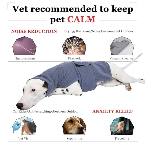 Dog Weighted Vest (S / Blue)