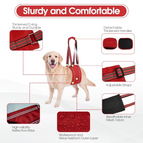 Dog Lift Harness (Red / S)