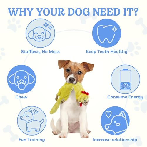 Dog Squeaky Toys Pack (Small / Bubble Plush-Chicken)
