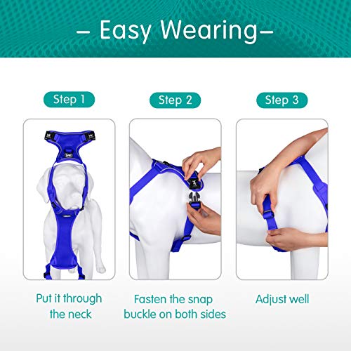 Mesh Dog Harness (S / Royal Blue)
