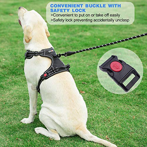 No Pull Dog Harness Adjustable Reflective Oxford Easy Control Medium Large Dog Harness with A Free Heavy Duty 5ft Dog Leash (Purple / Medium)
