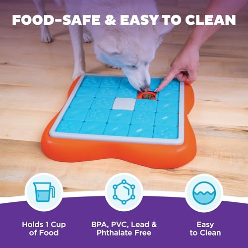 Nina Ottosson Challenge Slider Dog Toy Treat Puzzle (Challenge Slider (Orange, Blue) / 1 Count (Pack of 1))