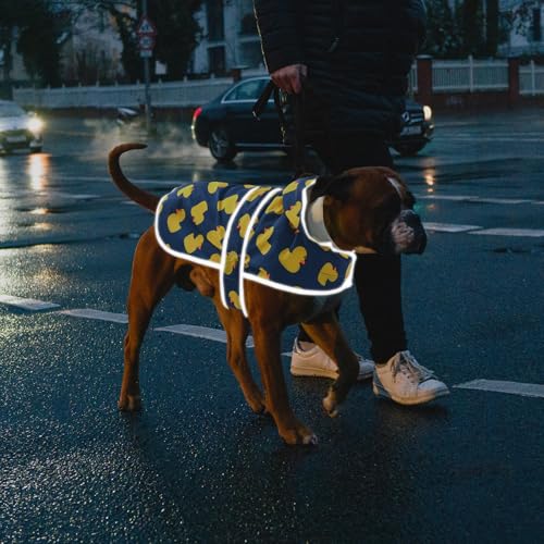 Dog Raincoat Waterproof Dog Rain Jacket with Hood (Navy Blue Duck / Medium)