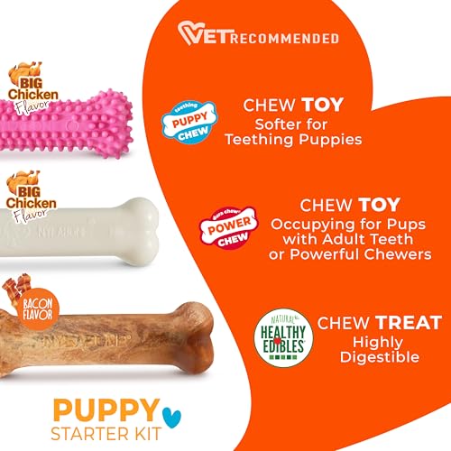 New Puppy Starter Kit (Pink / Small)
