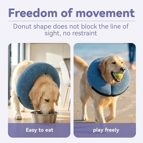 Inflatable Dog Cone Collar (XL(Neck 17"-20") / Blue)