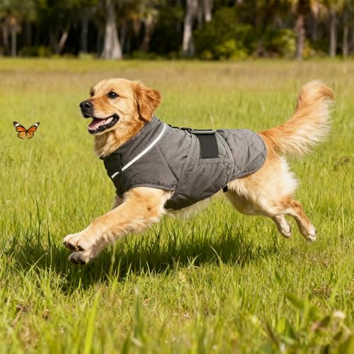 Weighted Dog Vest (Grey / Small)