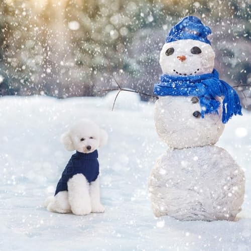 Dog Sweater for Small Dogs (NavyBlue / Small)