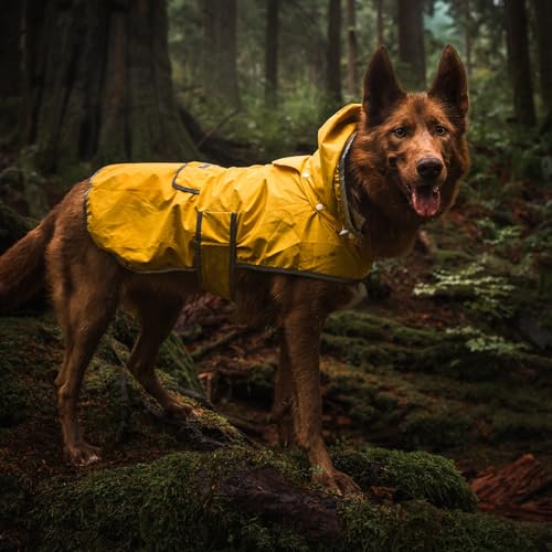 Dog Jacket Waterproof Raincoat with Breathable Interior (Large / Yellow)