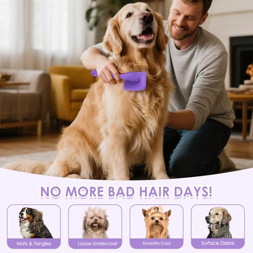 Large Dog 3 in 1 Grooming Kit (Purple)
