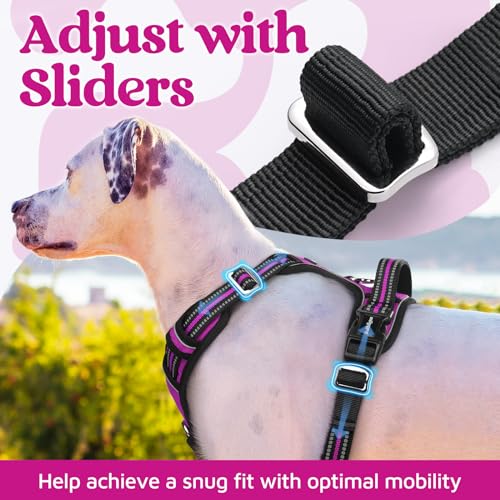 Dog Harness Medium Sized (Purple / Medium)