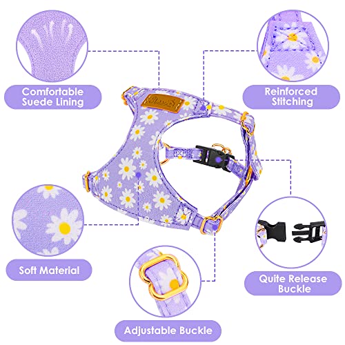 No Pull Dog Harness with Leash for Small Medium Dogs (X-Small(6-11lb) / Purple Daisy)