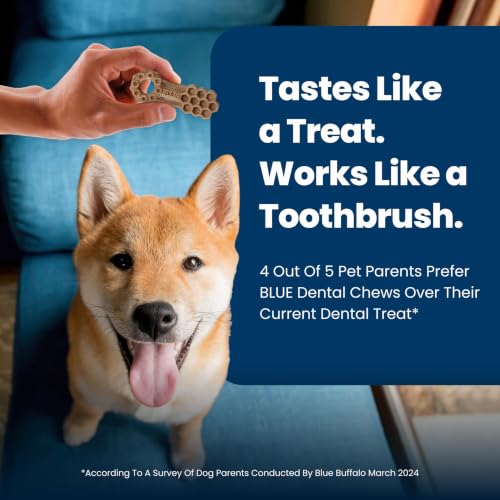 Chicken & Spearmint Small Dental Chews (11.3 Ounce (Pack of 1))