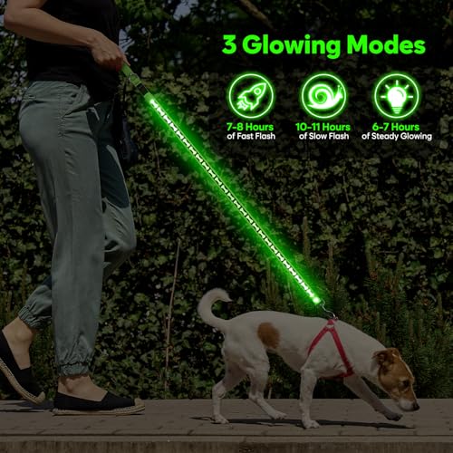 Light Up Dog Leash (Green)