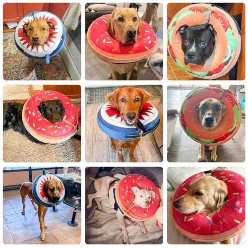 Dog Cone Collar Alternative After Surgery (Shark Donut / L(Neck:16"-18"))