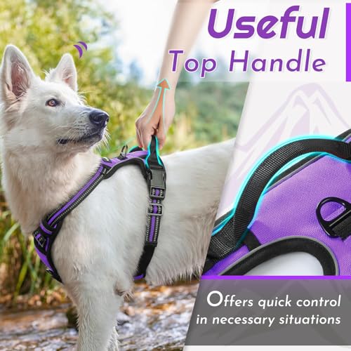 Dog Harness for Small Dogs (Small / Purple)