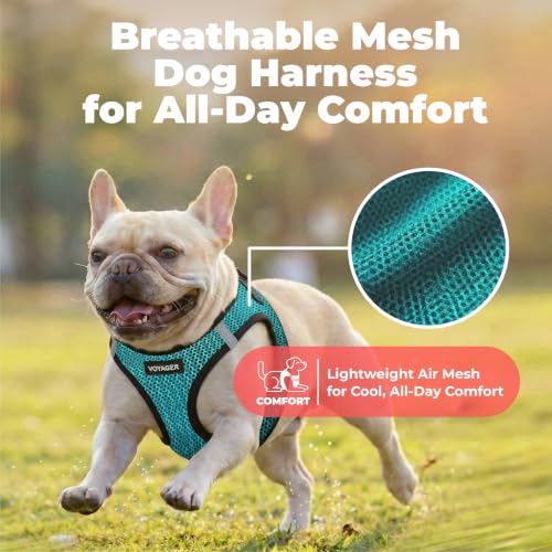 Voyager Step in Air Dog Vest Harness (Turquoise 2-Tone / XL (Chest: 20.5 - 23"))
