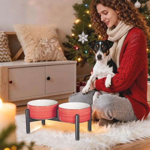 Ceramic Elevated Dog Bowl Set (Thread green / 3.5 Cups)
