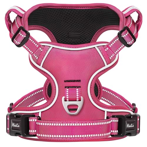 Dog Harness for Small Dogs No Pull Dog Vest Harness for Small Dog with Soft Padded Handle Reflective for Outdoor Training (S / Rose(Matching Trim))