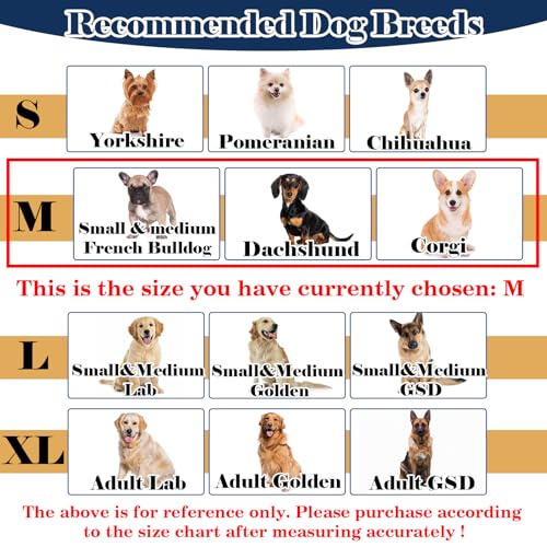 Hard & Heavy Plastic Dog Cone Collar Alternative for Medium Dogs (Navy Blue / M(Neck Girth:11.8"-14.5"))