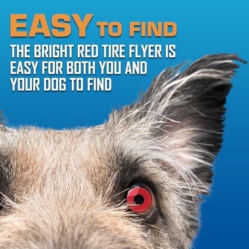 Atomic Flyer Outdoor Dog Toy (Red / 10 Inch)