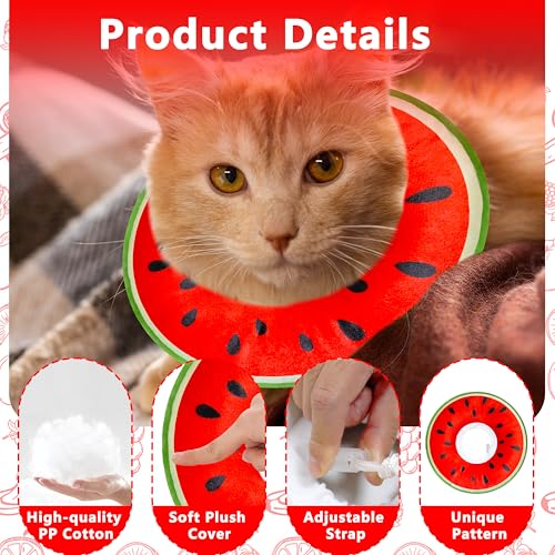 Cat Cone Collar Soft (Watermelon / Large)