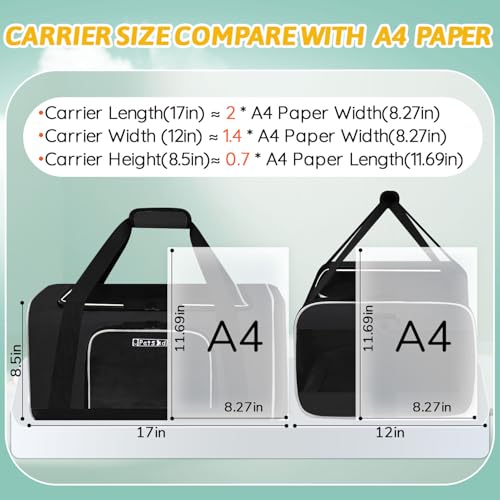 Small Pet Carrier 17" L x 12" W x 8.5" H Airline Approved (17.0"L x 12.0"W x 8.5"H / Black)