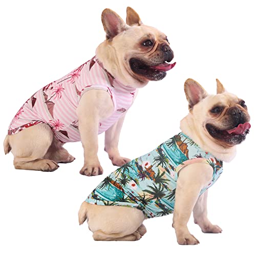 Hawaiian Dog Shirts (Green+Pink / X-Large)