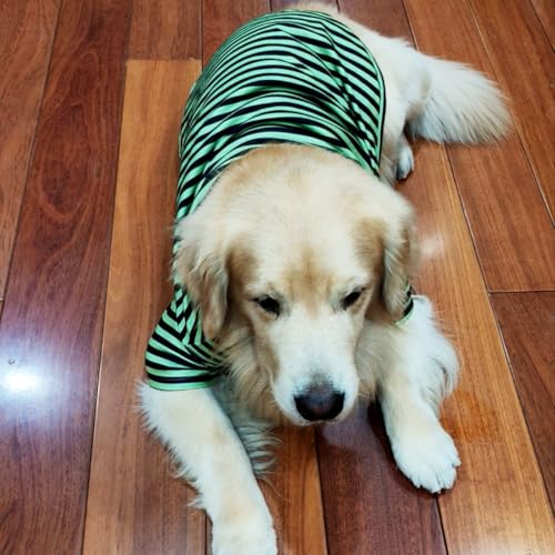 Turtleneck Dog Shirt Cute Doggie Embroidery Super Soft Dog Sweatshirt Stretchy Striped Puppy Pullover for Cats Small Medium Large Dogs (Green Striped / XXXX-Large)