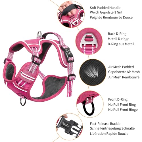 Dog Harness for Medium Dogs No Pull Dog Vest Harness with Soft Padded Handle Reflective for Outdoor Training (M / Rose(Matching Trim))